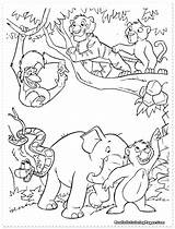 Safari Coloring Pages African Animals Animal Getdrawings Getcolorings Printable Color sketch template