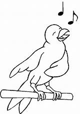 Vogel Kleurplaten Kleur Oiseau Animaatjes Burung Mewarnai Animasi Webnode Eigen Bergerak Malvorlagen1001 Picgifs sketch template