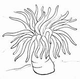Anemone Reef Sensory sketch template