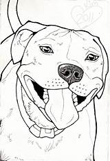 Pitbull Drawing Drawings Face Dog Draw Pitbulls Coloring Animal Pit Bull Pages Print Staffy Paw Dogs Result Pencil Bulls Line sketch template