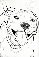 Pitbull Staffy Pit Bulls Stafford Scribbles Stencils Bezoeken Faithful Depuis sketch template