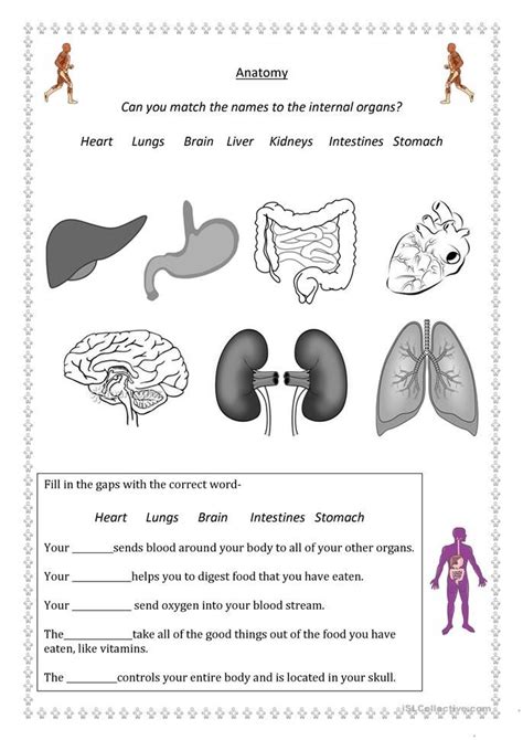 learn english body parts worksheets