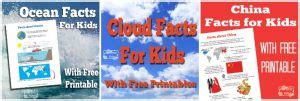 fun facts  kids  learning printables itsy bitsy fun