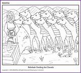 Rebekah Camels Rebecca Abraham Biblewise Korner sketch template