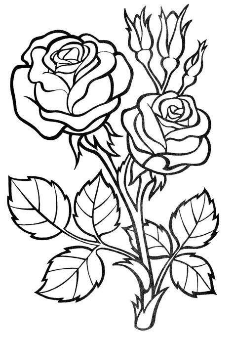 rose coloring pages easy  coloring pages