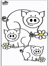 Schweine Coloring Lions Pigs Flowers Maiali Varkens Cochons Malvorlagen Ferme Coloriages Pubblicità Xcolorings Boerderijdieren Huis Bauernhoftiere Advertentie Anzeige Publicité sketch template