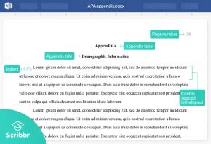 create   style appendix format examples
