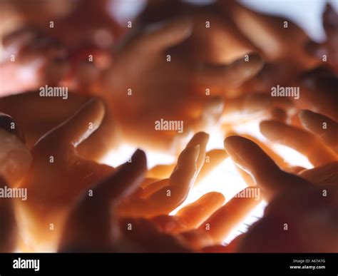 hands grouped  stock photo alamy