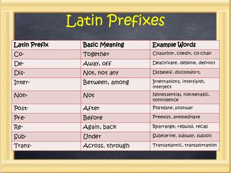 prefixes suffixes and roots