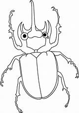 Coloring Beetle Pages Animals Amazing Sheet Color Tocolor Template Bailey Book Kids Print Button Using sketch template