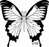 Butterfly Coloring Pages Kids Butterflies Color Realistic Printable Blank Pattern Adults Book Getdrawings Print Easy Getcolorings Ad Place sketch template