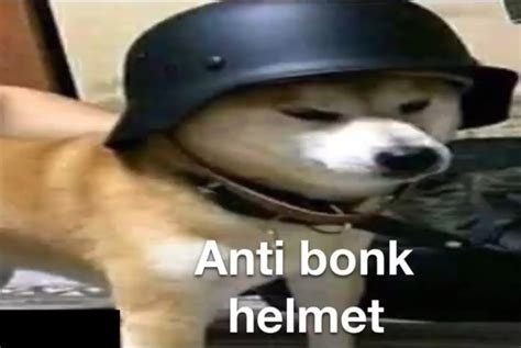 doge anti bonk helmet latest memes imgflip