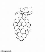 Grapes Coloringpages sketch template