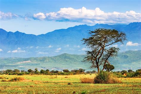 ruwenzori gebirge mondberge uganda franks travelbox