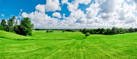 green meadow stock image image  agriculture outdoors
