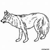 Coloriage Loup Coloriages Animaux Perro sketch template