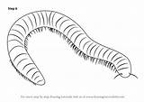 Millipede Draw Drawing Worms Step Sketch Make Coloring Necessary Improvements Finally Finish Template Tutorials sketch template