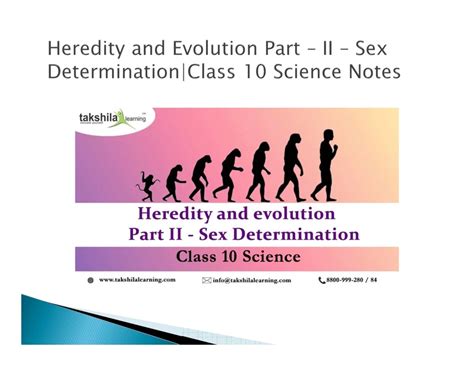 Ppt Heredity And Evolution Part – Ii – Sex Determination Class 10