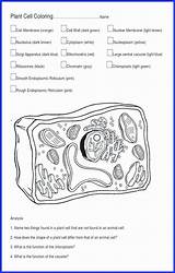 Biologycorner Resources sketch template