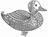 Duck Coloring Zentangle Pages Adult Detailed Teacherspayteachers Sheet Animal Farm Patterns Preview Drawing Drawn sketch template