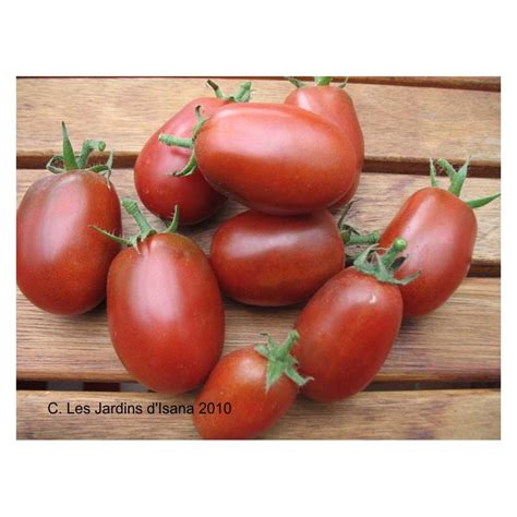 graines de tomate de collection de berao black bio semences tomates