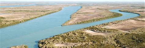 dams  cotton threaten  roper river  top  coasts healthy