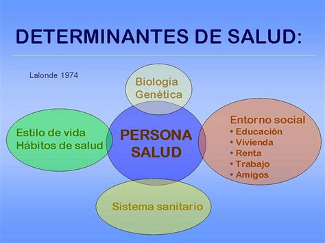 determinantes de la salud mi primer portafolio digital andres