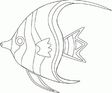 coloring pages tropical   coloring pages tropical png