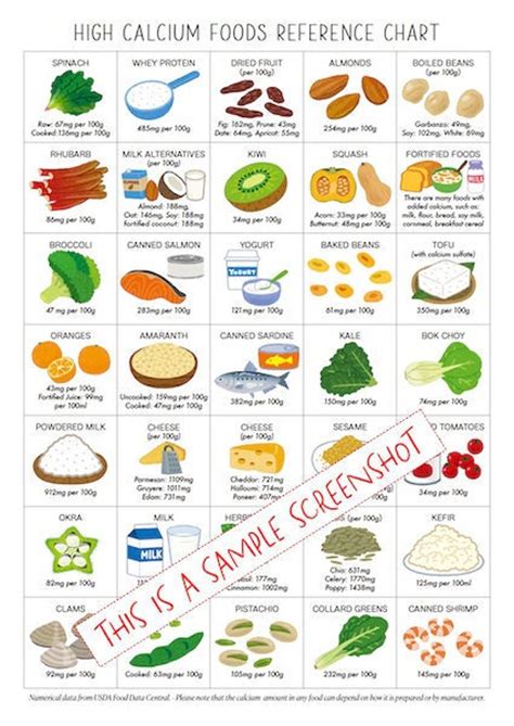 high calcium foods reference chart  page  printable instant