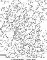 Adults Mariposas Vlinders Papillon Doverpublications Coloringideas sketch template