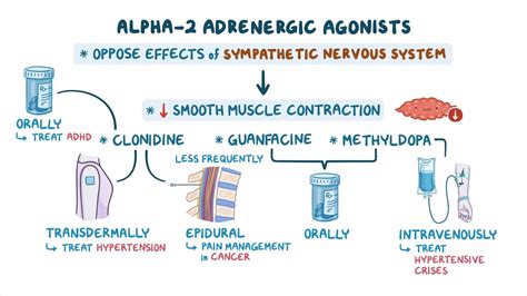 alpha  adrenergic agonists nursing pharmacology osmosis video library