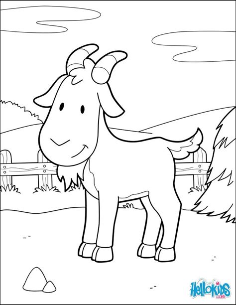 images  farm animal coloring pages  pinterest