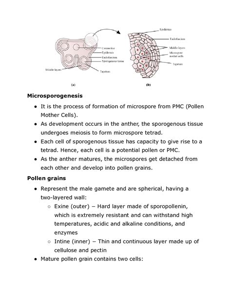 download cbse class 12 biology sexual reproduction in