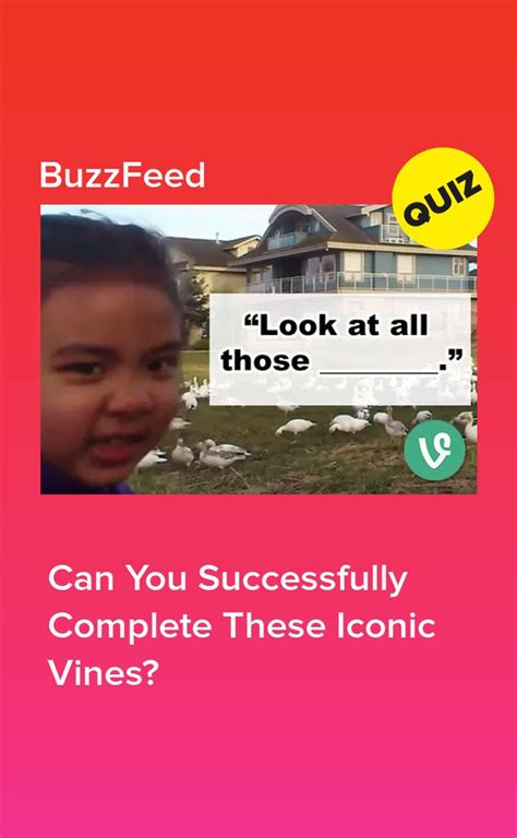 successfully complete  iconic vines funny vine compilation  funny