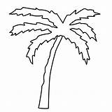 Palme Malvorlage Malvorlagen Tree Fensterbilder Palmboom Kinderbilder Leaves Baum Palmenblatt Gratis Clip Bäume sketch template