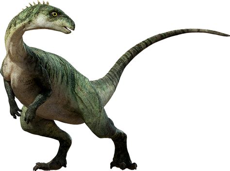 dinosaur png transparent image  size xpx