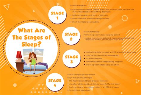the sleep cycle and its 4 stages a deeper meaning of sleep the