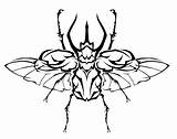 Beetle Atlas Coloring Designlooter Drawings Tribal 607px 12kb sketch template