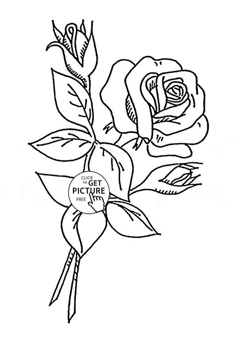 rose coloring page easy  svg file cut cricut
