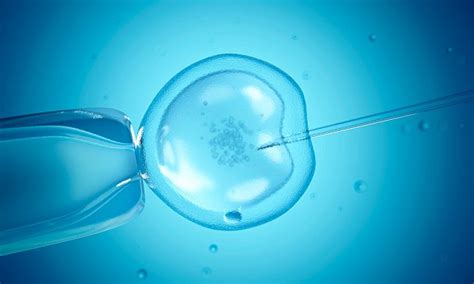scottish government to fund 3 cycles of ivf on nhs daily mail online