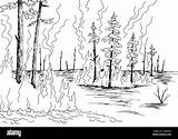 Wildfire Sketch Burning sketch template