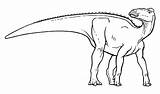 Edmontosaurus Rtmp sketch template