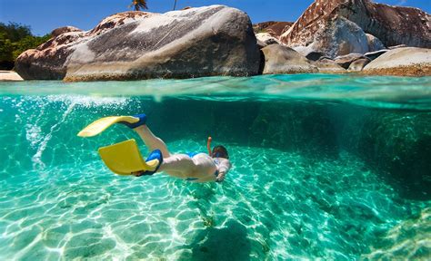 The Ten Best Snorkelling Spots In Sydney Concrete