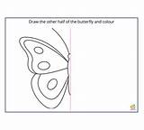 Butterfly Symmetry Teachon sketch template