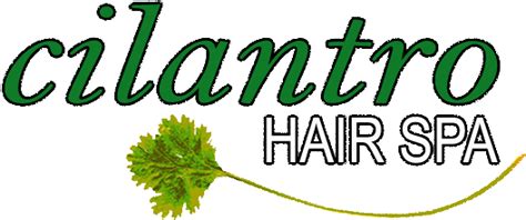 cilantro hair spa cilantro hair full size png image pngkit