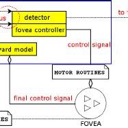 model   perceptual schema  scientific diagram