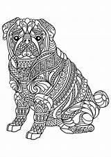Coloring Adult Pages Animals Getcolorings Easy sketch template