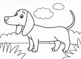 Coloring Dachshund Canaan sketch template