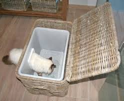 afbeeldingsresultaat voor kattenbak ombouw diy litter box hidden litter boxes litter box