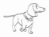 Coloring Wiener Pages Getdrawings Dog sketch template
